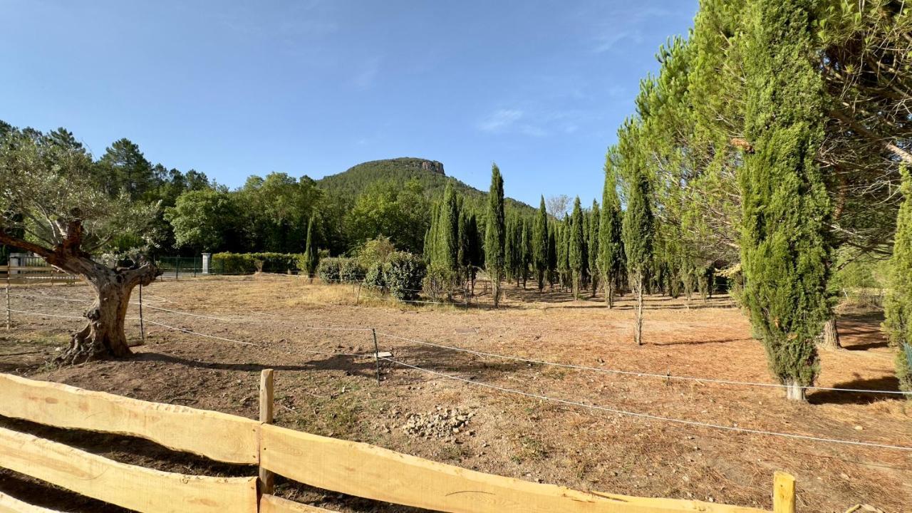 Hotel Superbe Roulotte De Charme Bagnols-en-Forêt Esterno foto